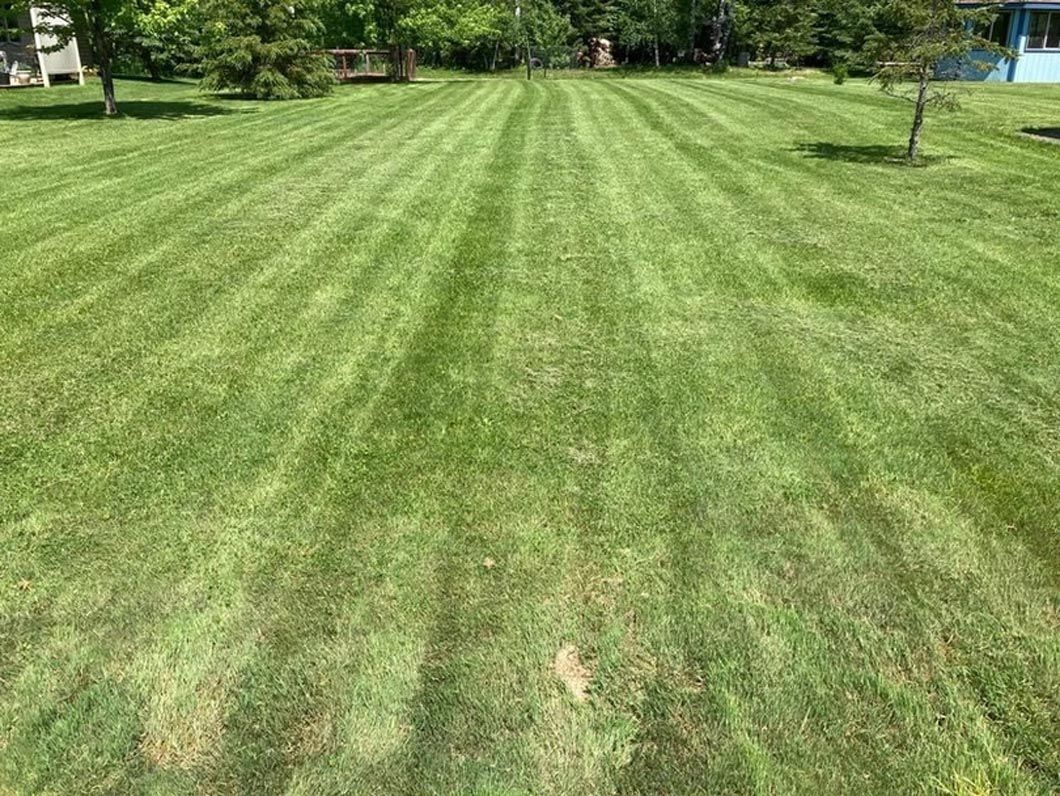 A lush green lawn with a blue house in the background.