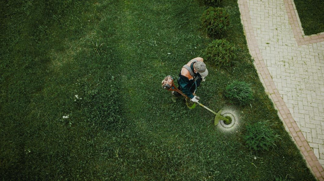 An aerial view of a person cutting grass with a lawn mower.