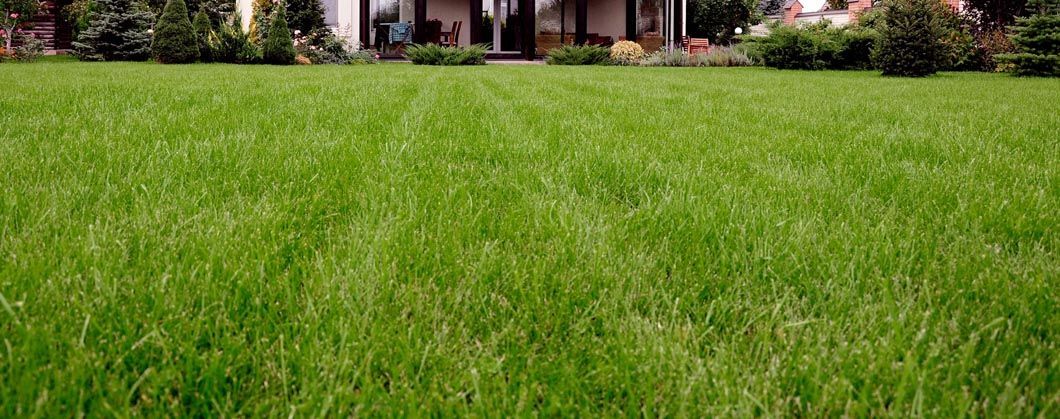 A lush green lawn in front of a house.