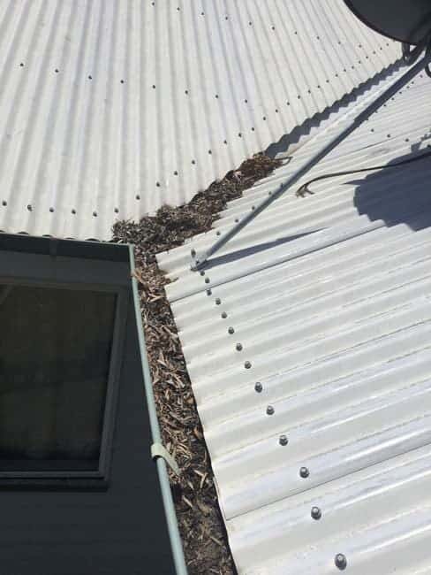 Gutters full of leaves - Gutter Cleaning Gladstone, QLD