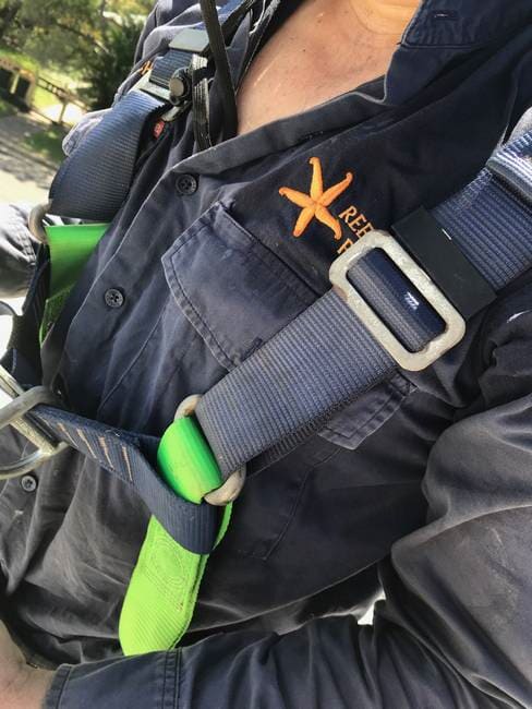 Michael in Harness with Logo on Shirt — Reef City Plumbing in Beecher, QLD