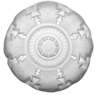 D-Centre-240mm — Perth, WA — Plasterline Industries