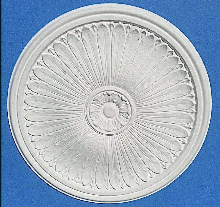 #4 Rose – 640mm — Perth, WA — Plasterline Industries