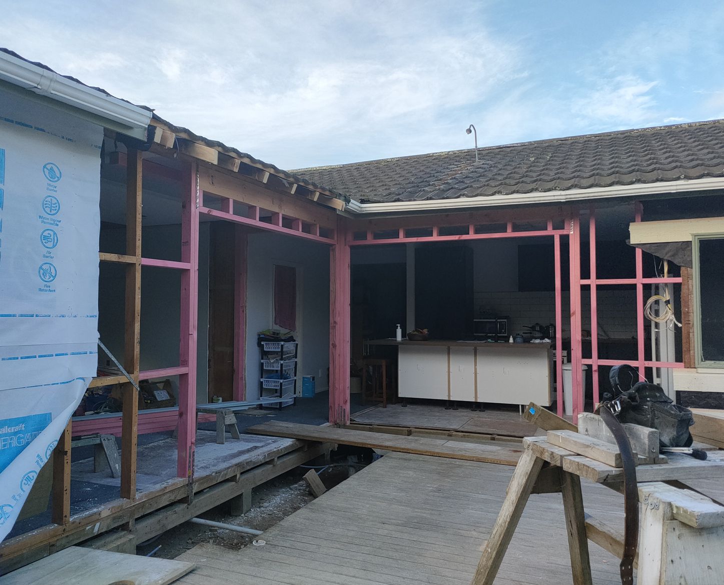 Exterior home undergoing renovation; wood framing painted pink, blue sheathing, overcast sky.