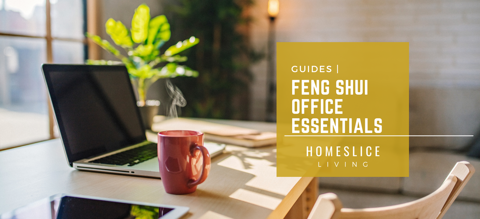 Elevate your office with Feng Shui-inspired essentials for a harmonious and successful workspace.