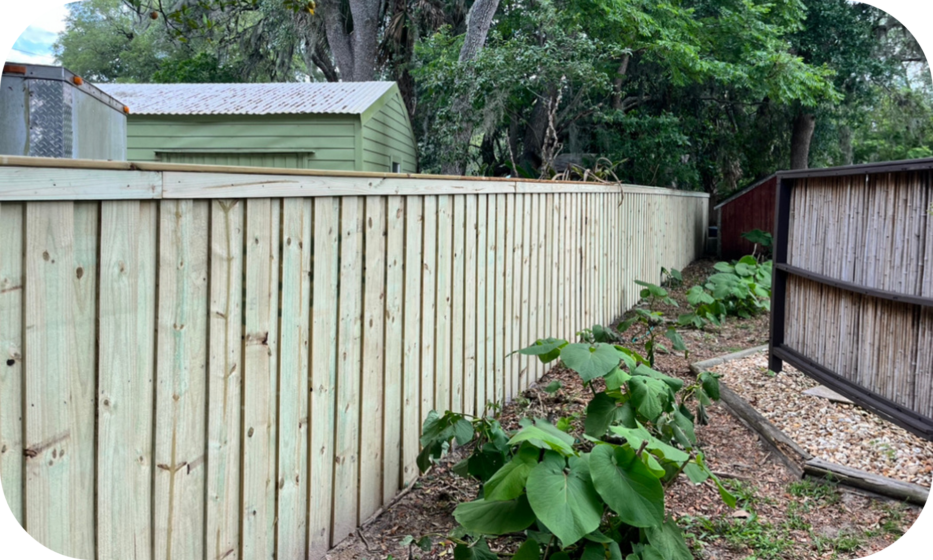 A wooden fence surrounds a garden with a shed in the background.