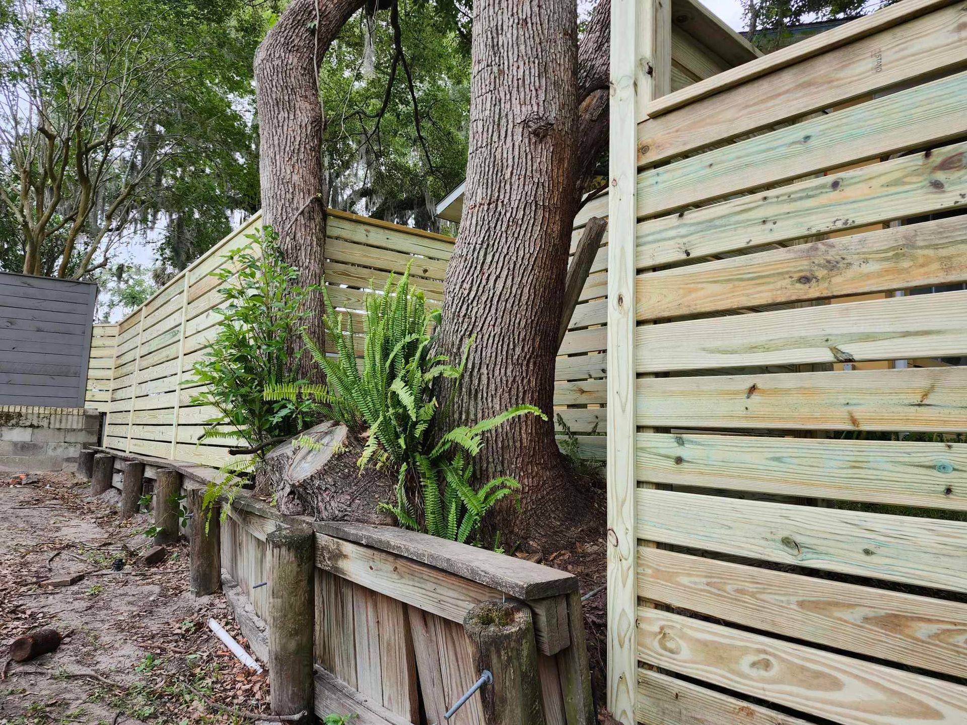 A wooden fence with a tree in the background.