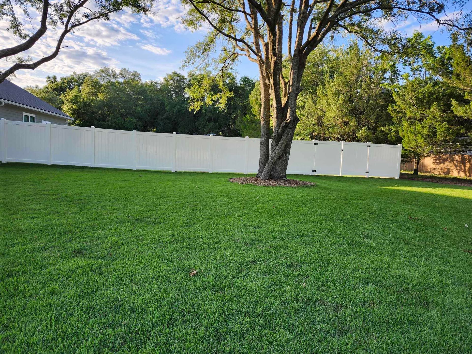 A large lawn with a white fence and a tree in the middle.
