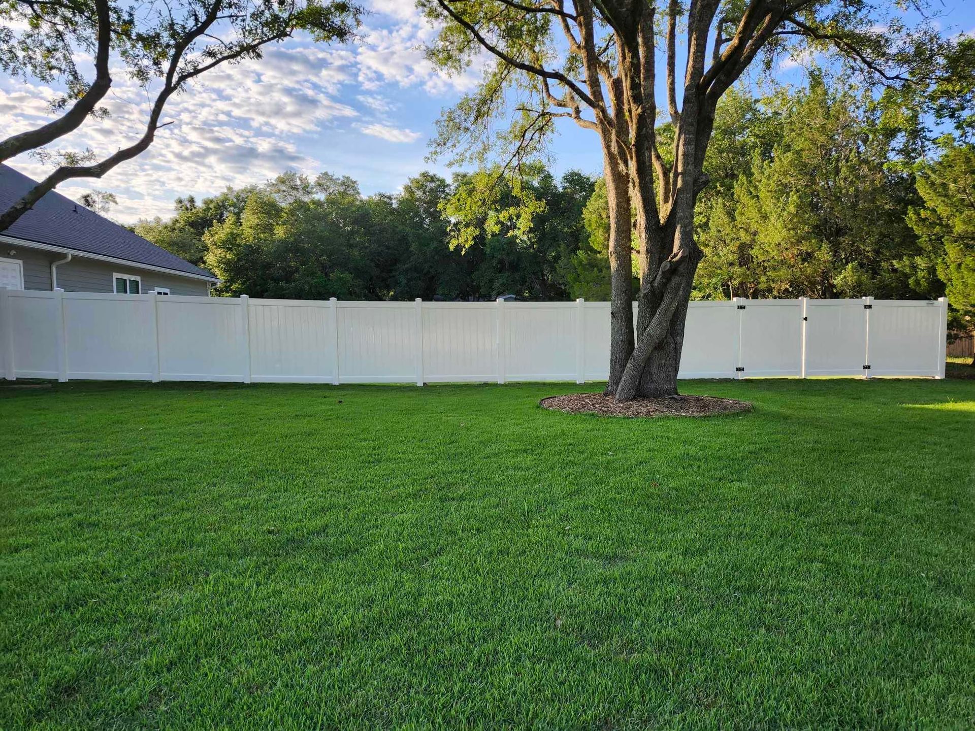 A white fence surrounds a lush green yard with a tree in the middle.