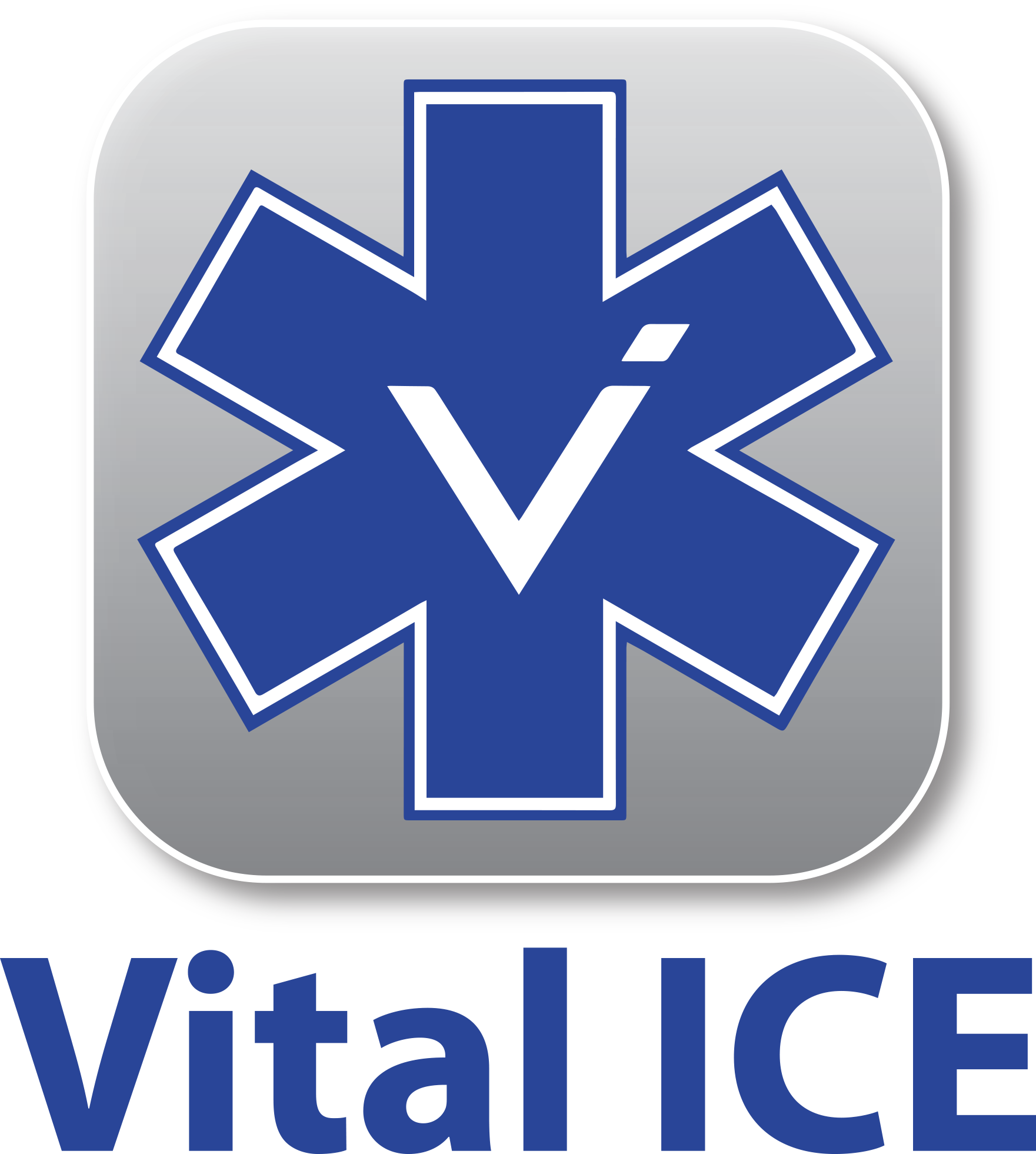 Vital Ice Logo
