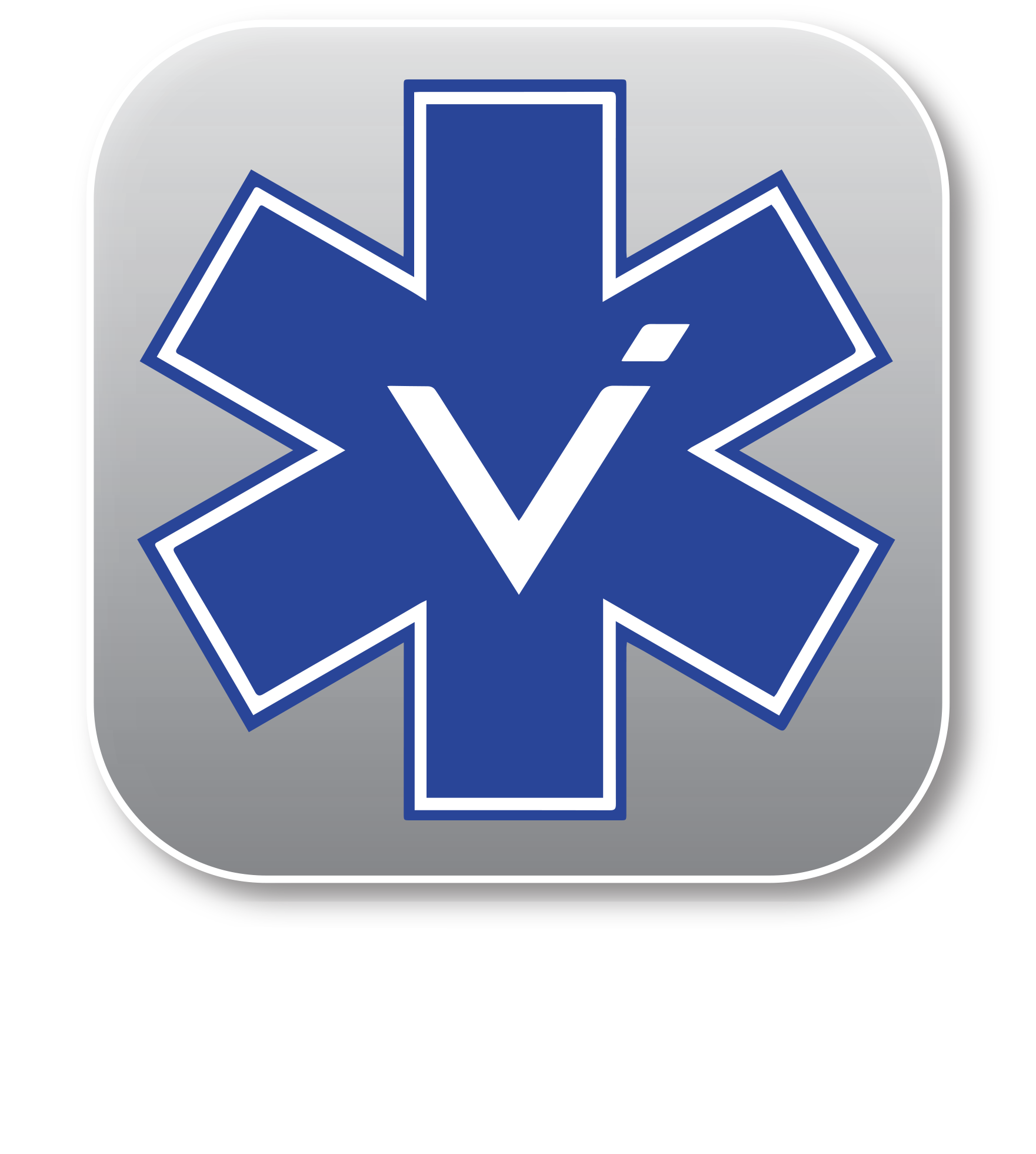 Vital Ice Logo