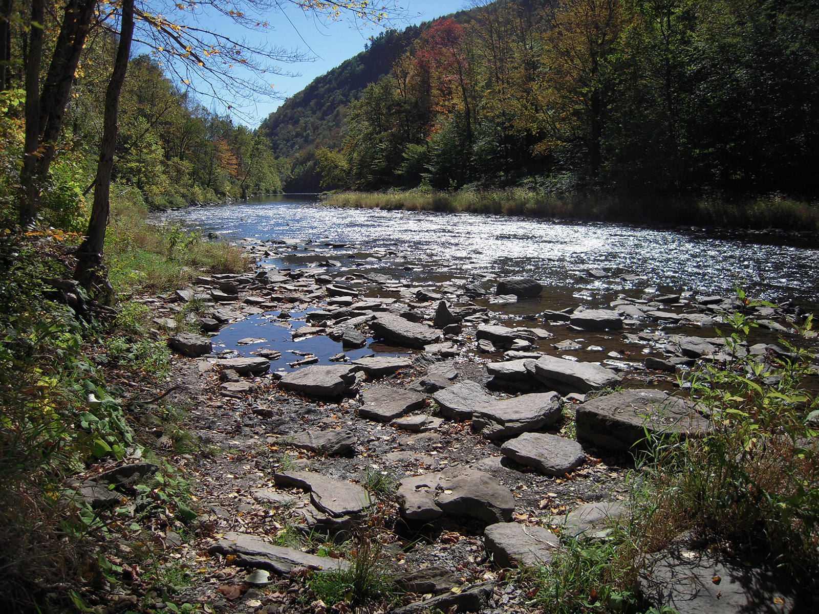 Rocky river with sunlit water, flanked by trees and a hillside in autumn.