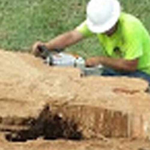 Man Removing Tree Stump — Davenport, FL - Brigg's Tree Service, LLC
