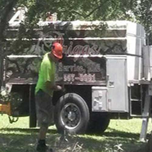 Tree With Branches Cut Off — Davenport, FL - Brigg's Tree Service, LLC