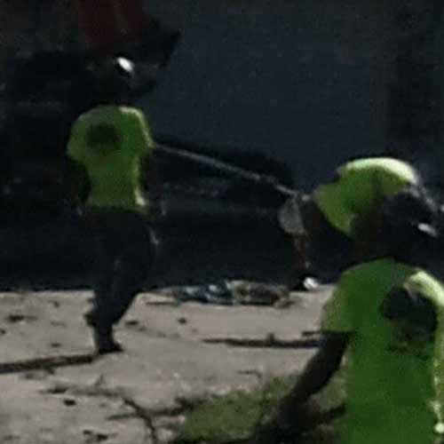 People Clearing Land — Davenport, FL - Brigg's Tree Service, LLC People Clearing Land — Davenport, FL - Brigg's Tree Service, LLC