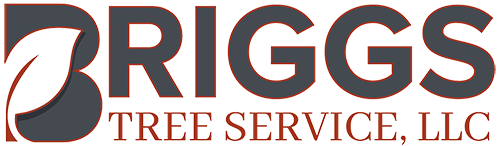 Briggs Tree Service, LLC