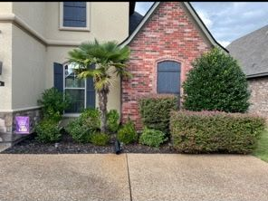 A landscaped front yard featuring a small palm tree, trimmed green shrubs, and black mulch against a brick house exterior.