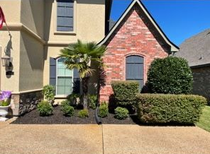 A beige stucco house with a brick facade section, a palm tree, and manicured shrubs in the front landscaping.