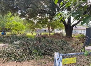 A pile of cut tree branches and brush sits on a residential lawn near a fence, with large mature trees in the background.