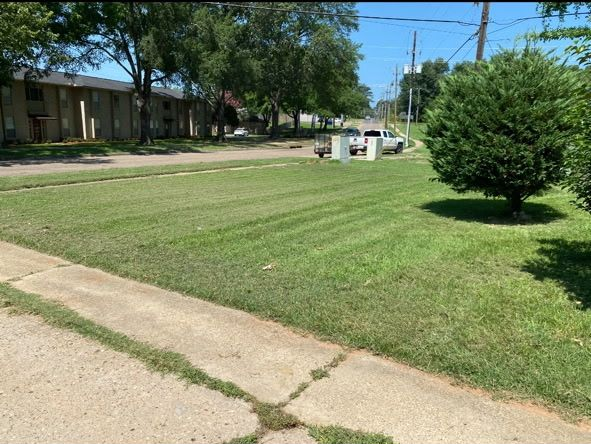 A wide, sunlit lawn stretches toward a multi-story apartment building, with a circular shrub on the right.