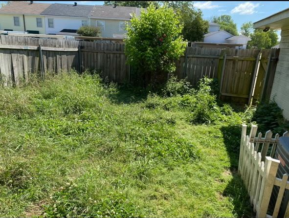 A backyard with tall, overgrown grass, a central tree, a wooden perimeter fence, and a white picket fence on the right.