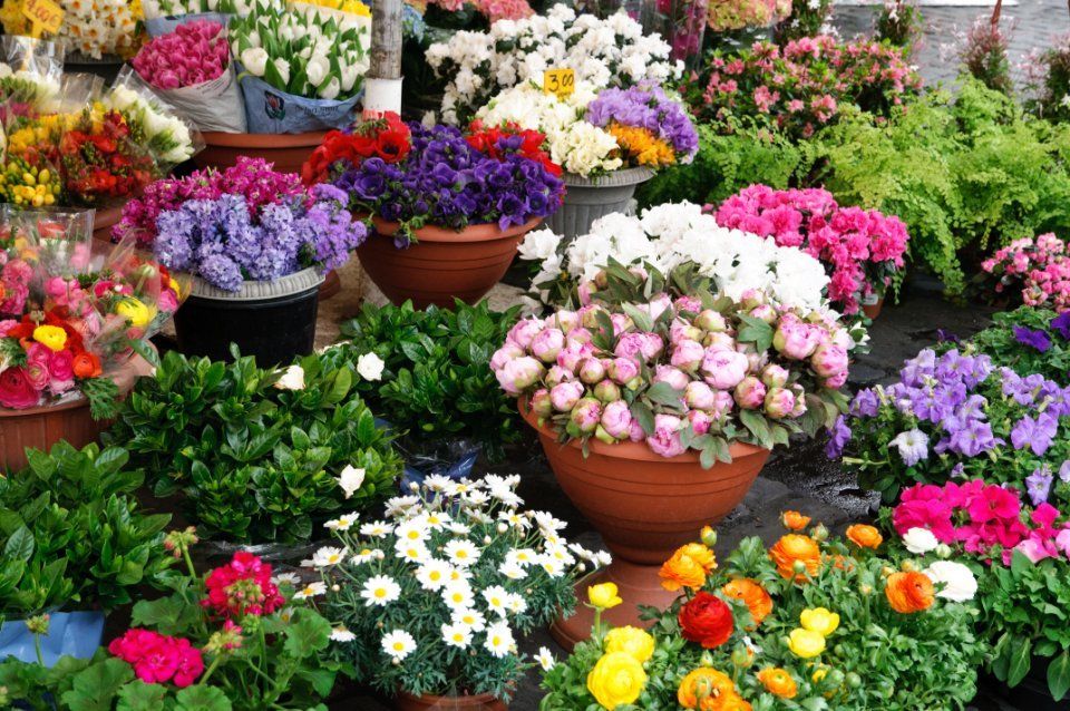 vasi di fiori da giardino
