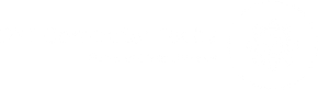 dyt computer text logo white