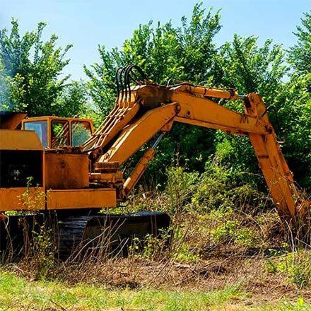 Lot Clearing — Tree Service in Kenosha, WI