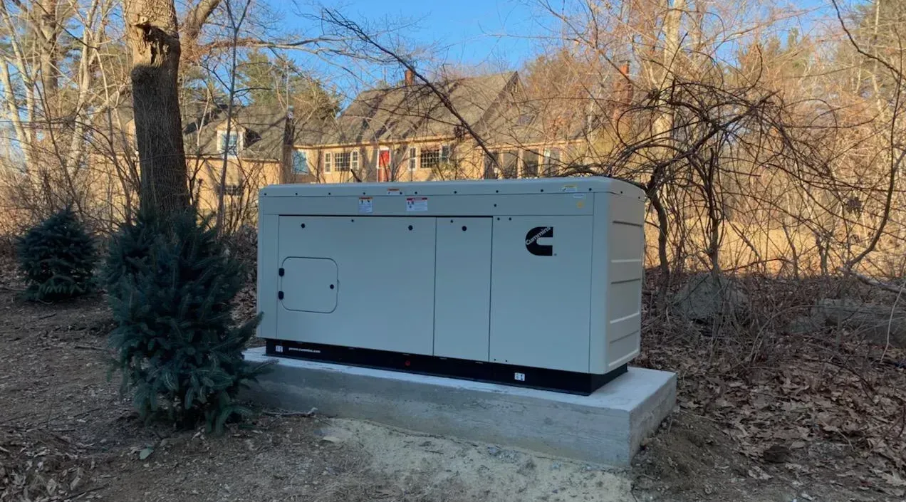 A large white box is sitting in the middle of a forest.