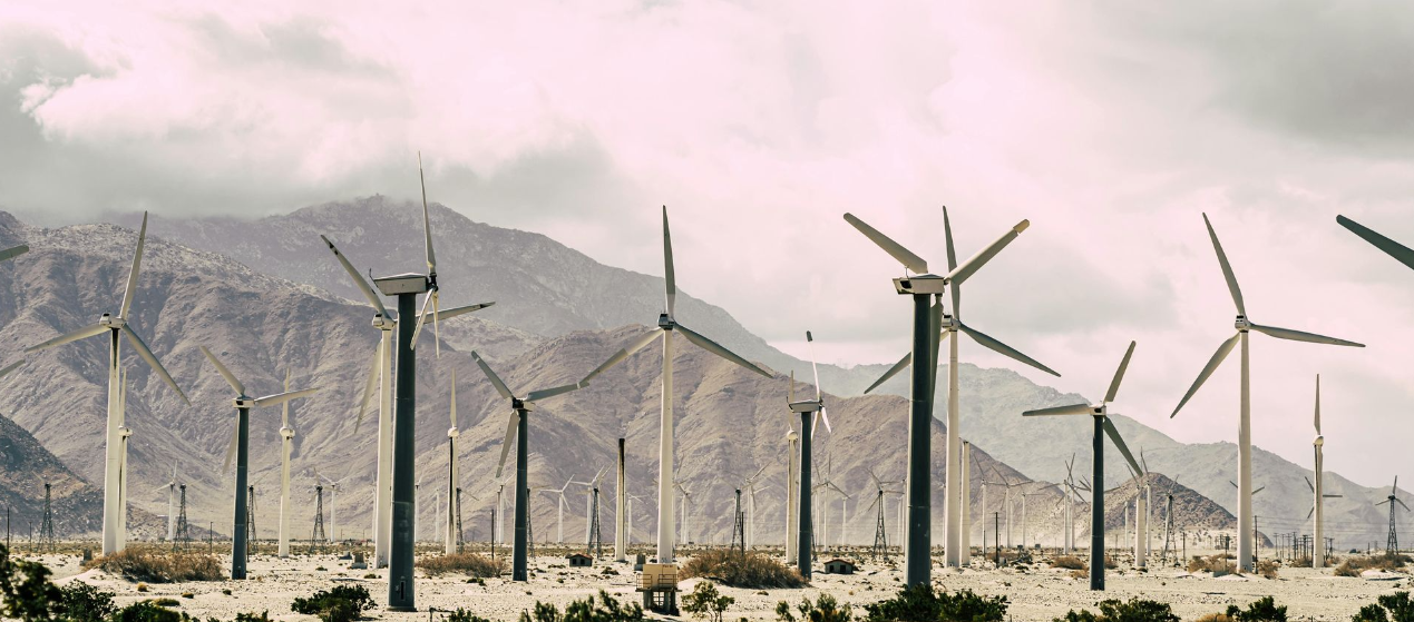 Palm Springs, Indio, Coachella Marketing Agency