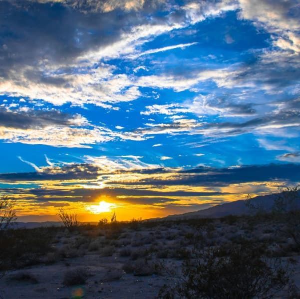 seo palm springs, palm springs web design