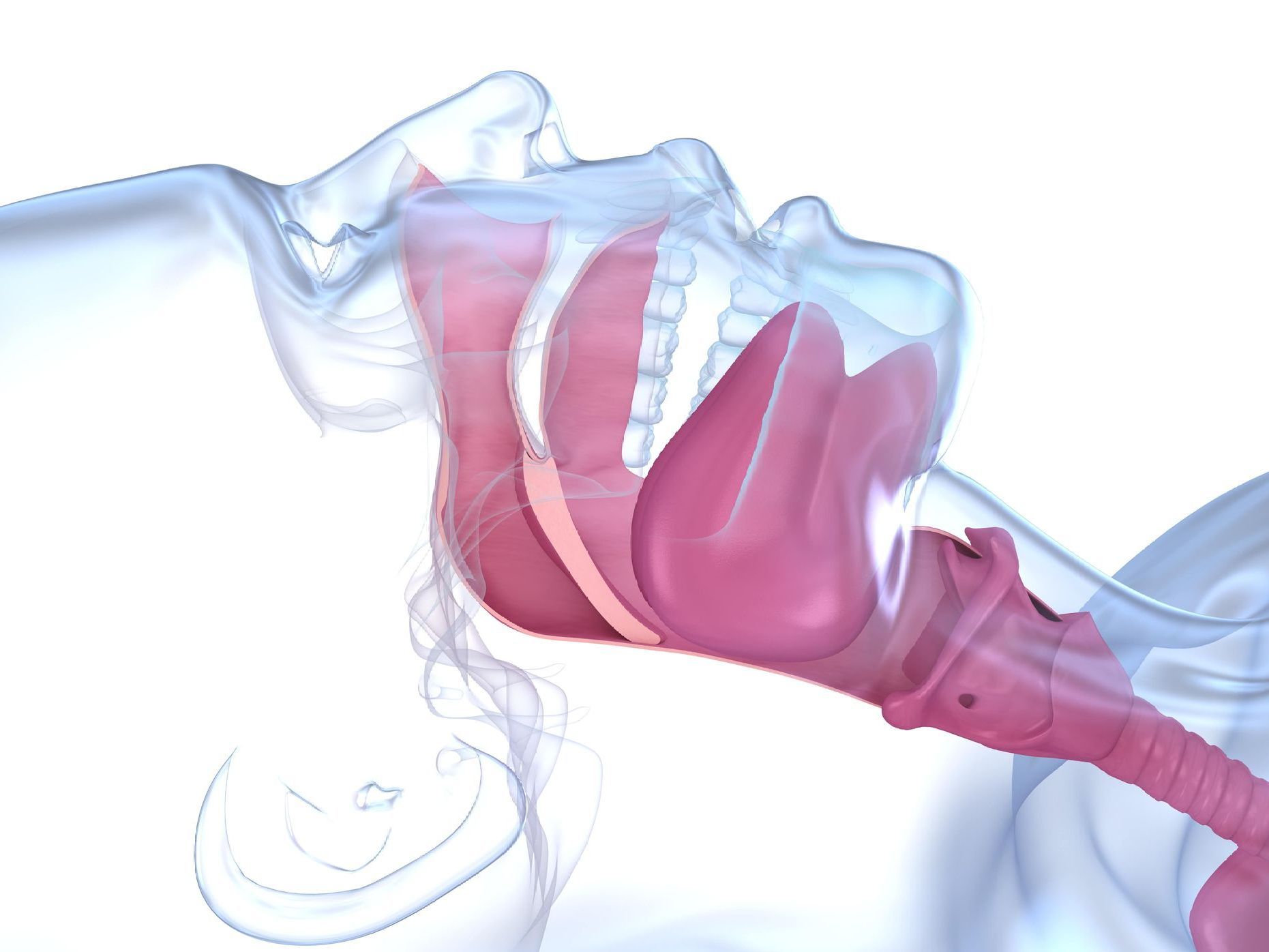 A computer generated image of a person's mouth and throat