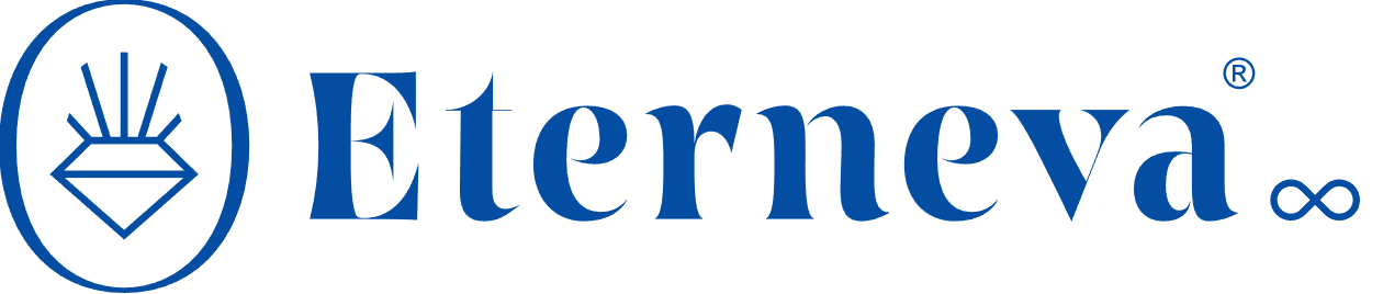 A blue logo for a company called elermeva