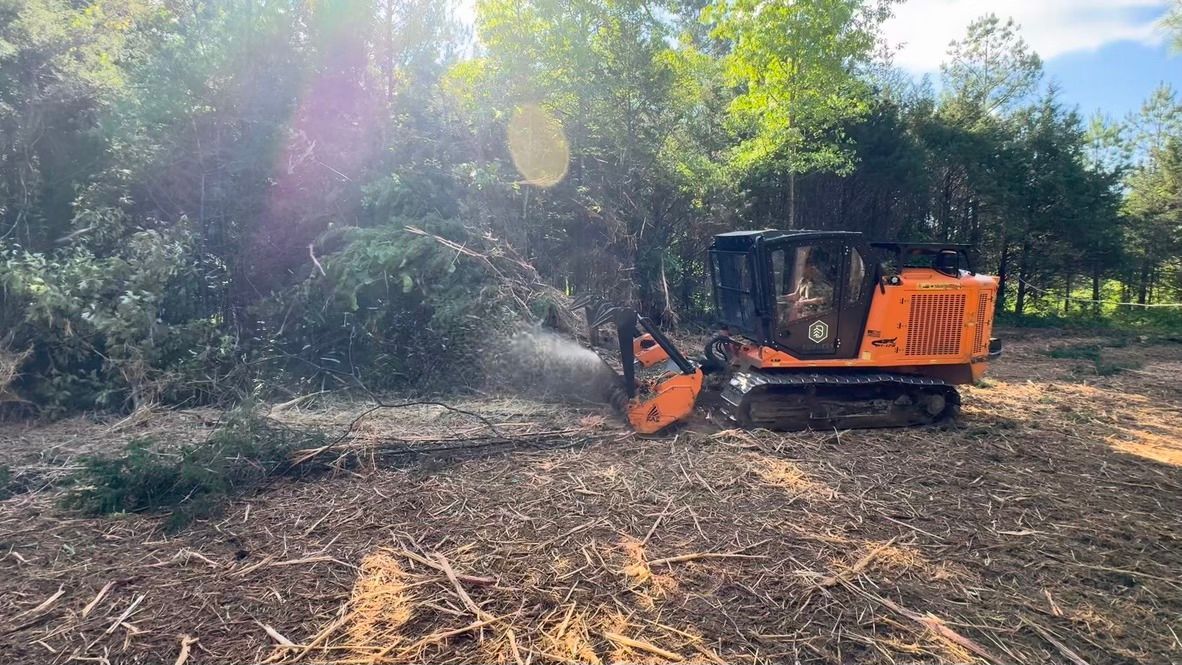 An orange forestry mulcher clears brush in a wooded area, leaving behind a layer of wood chips on the ground.