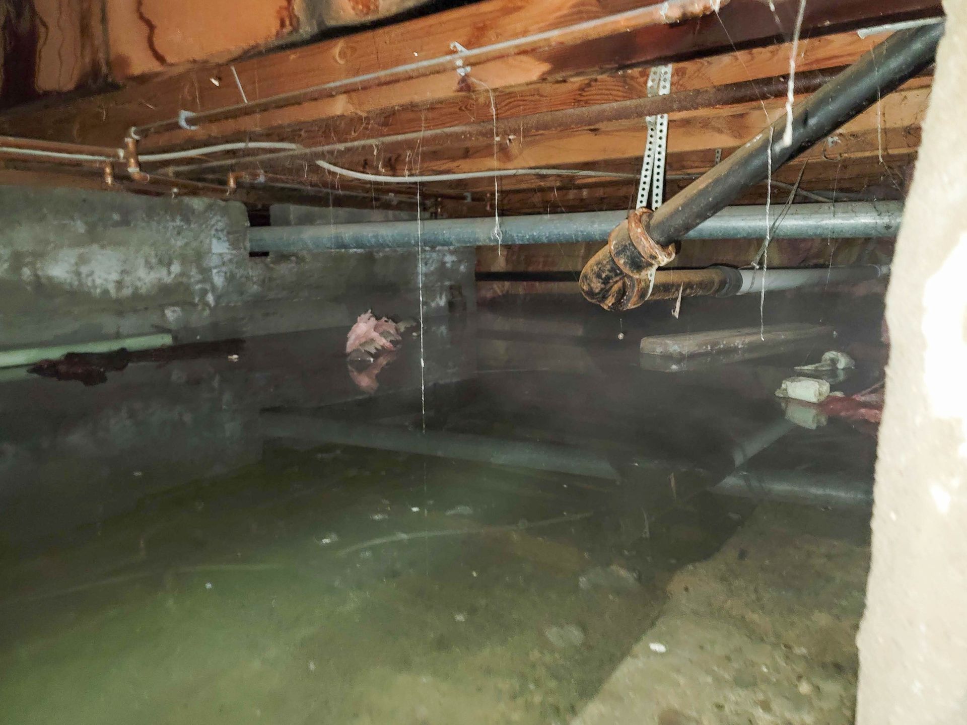 Water crawl space - South Bend, IN - A&M Home Services