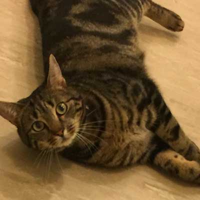 We have a good working relationship with the local vet