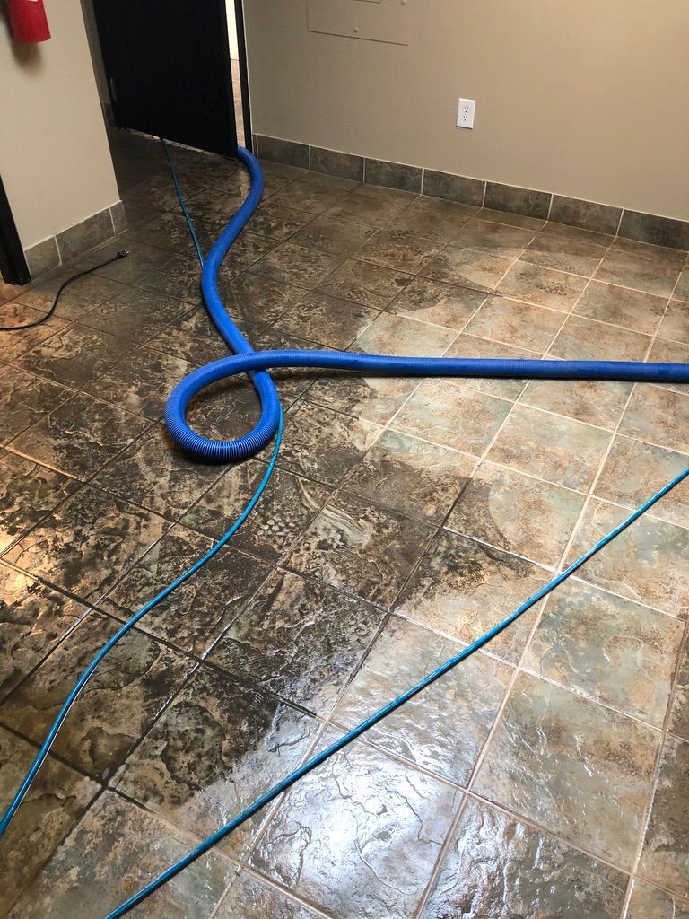 Our service | Snyders Carpet Tile Softwash Cleaning