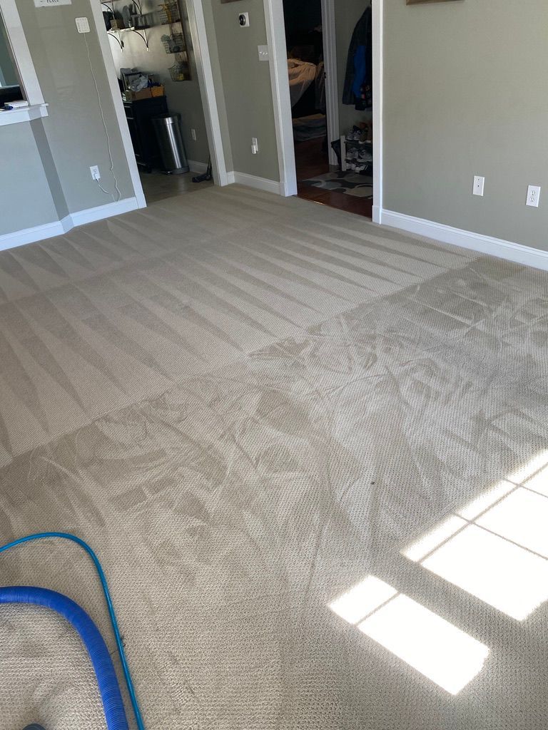 Our service | Snyders Carpet Tile Softwash Cleaning
