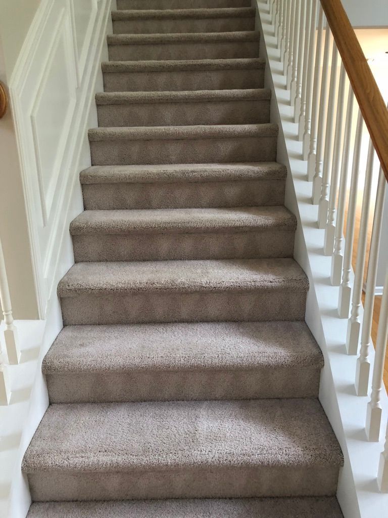 Our service | Snyders Carpet Tile Softwash Cleaning