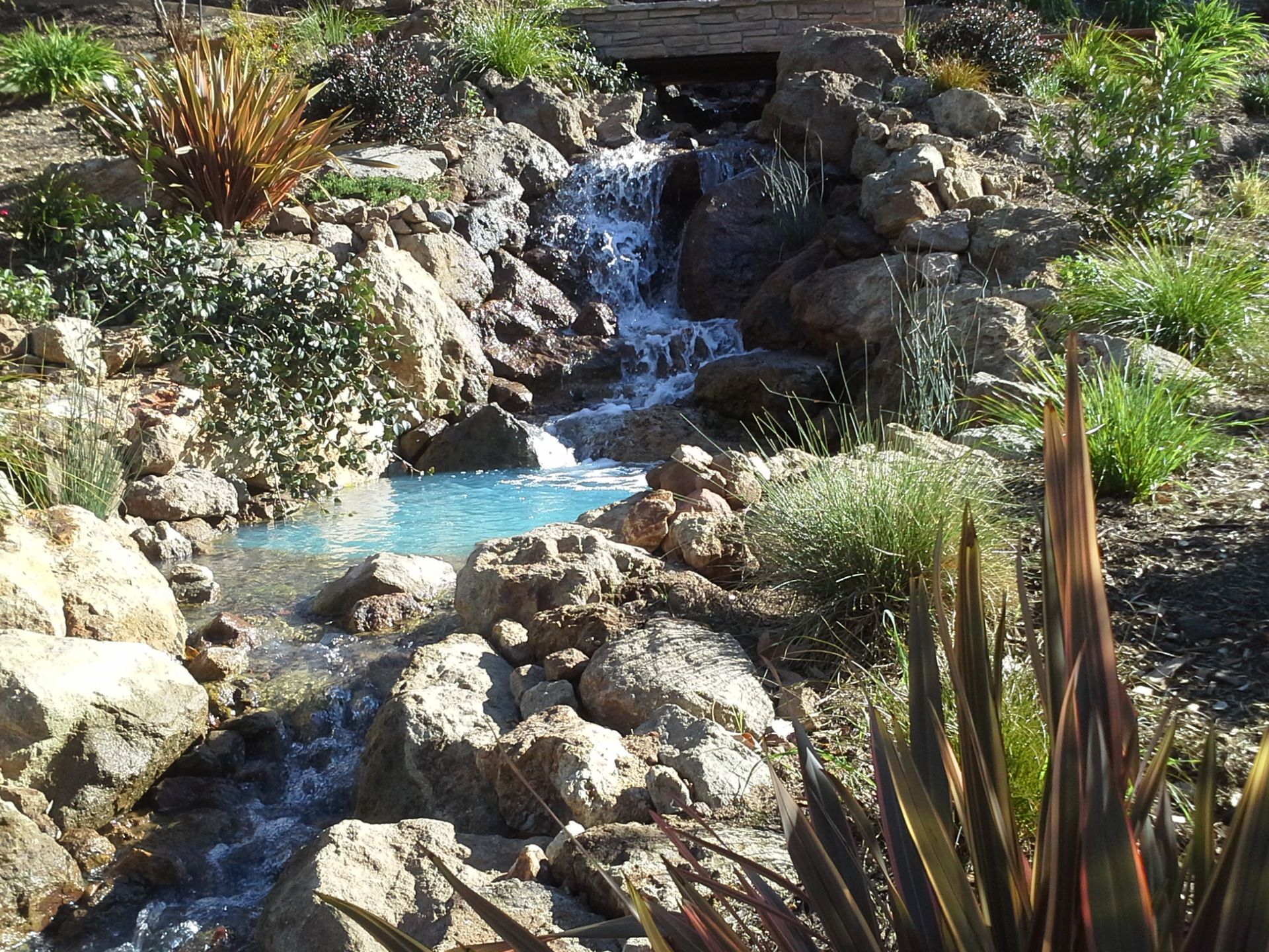 A small waterfall is surrounded by rocks and plants