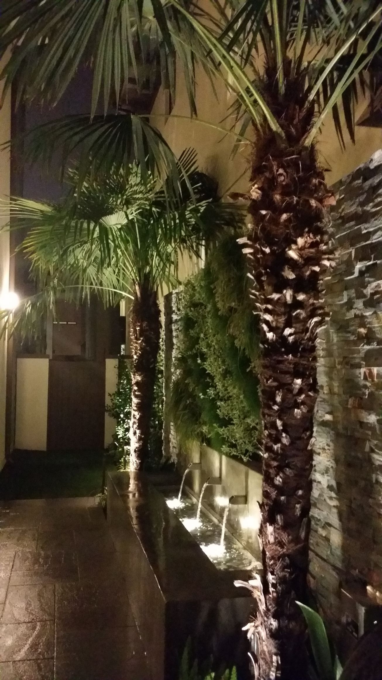 A row of palm trees are lit up at night in front of a building.