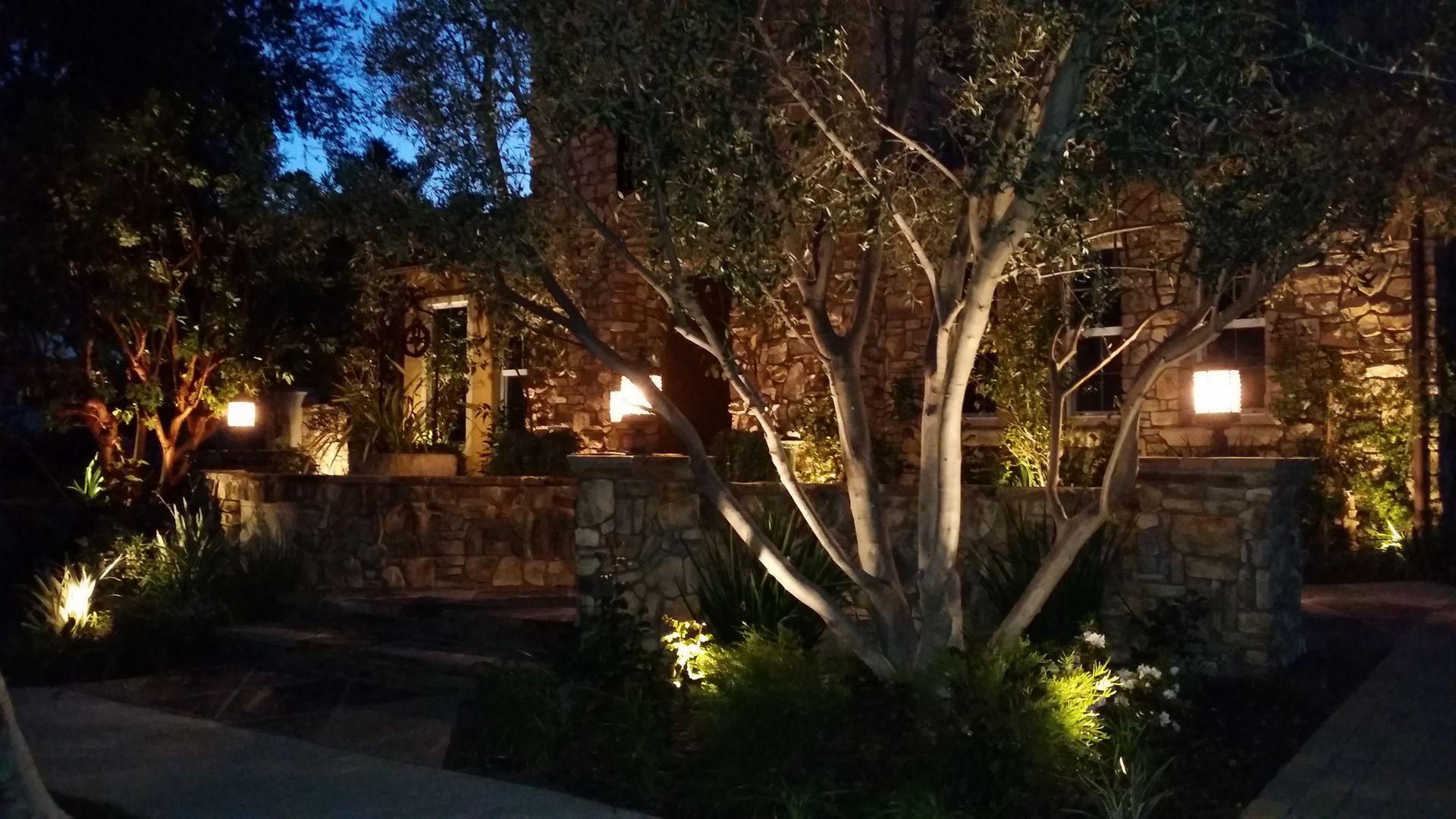 A tree is lit up in front of a house at night.