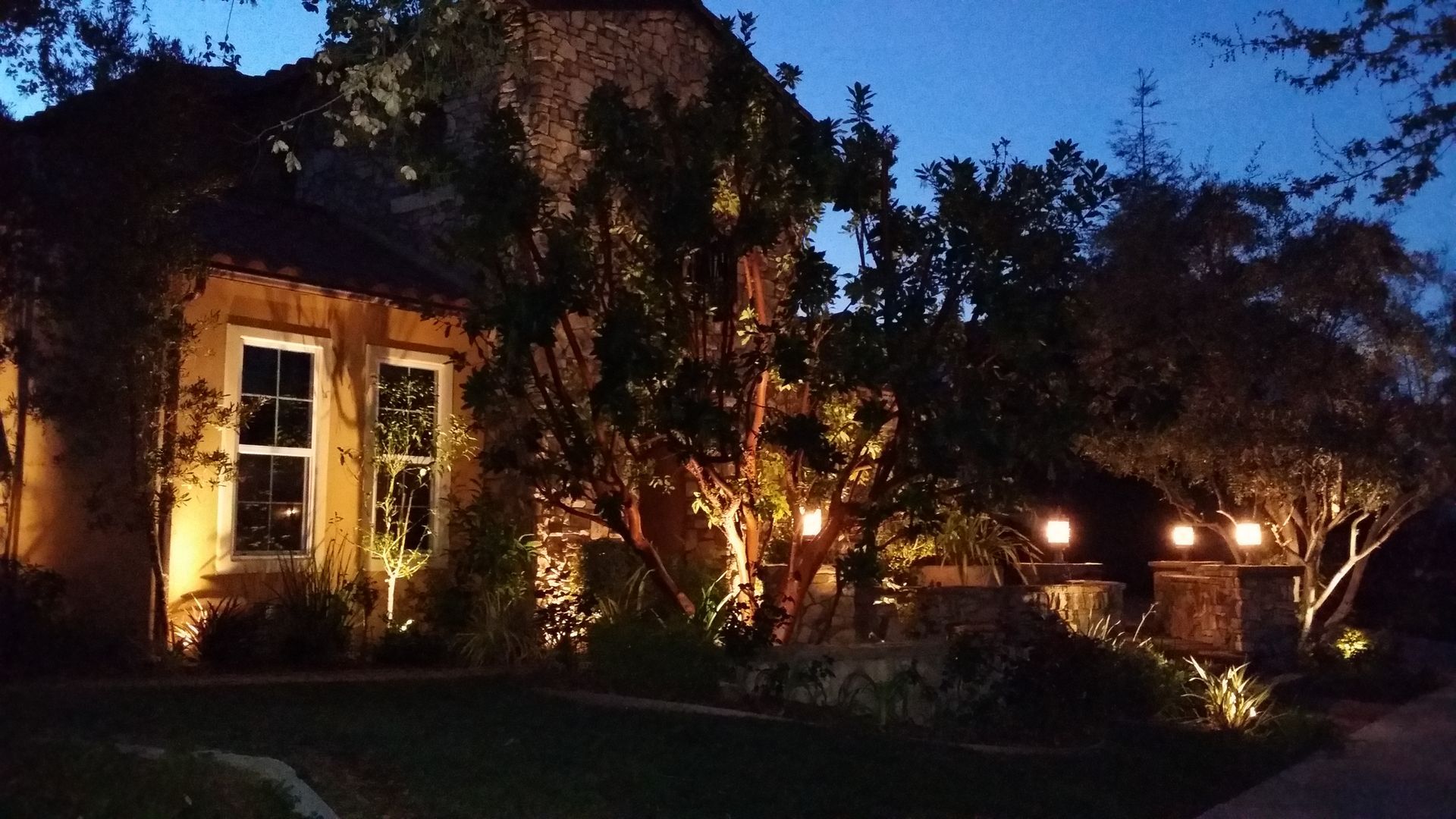 A house is lit up at night with trees in front of it