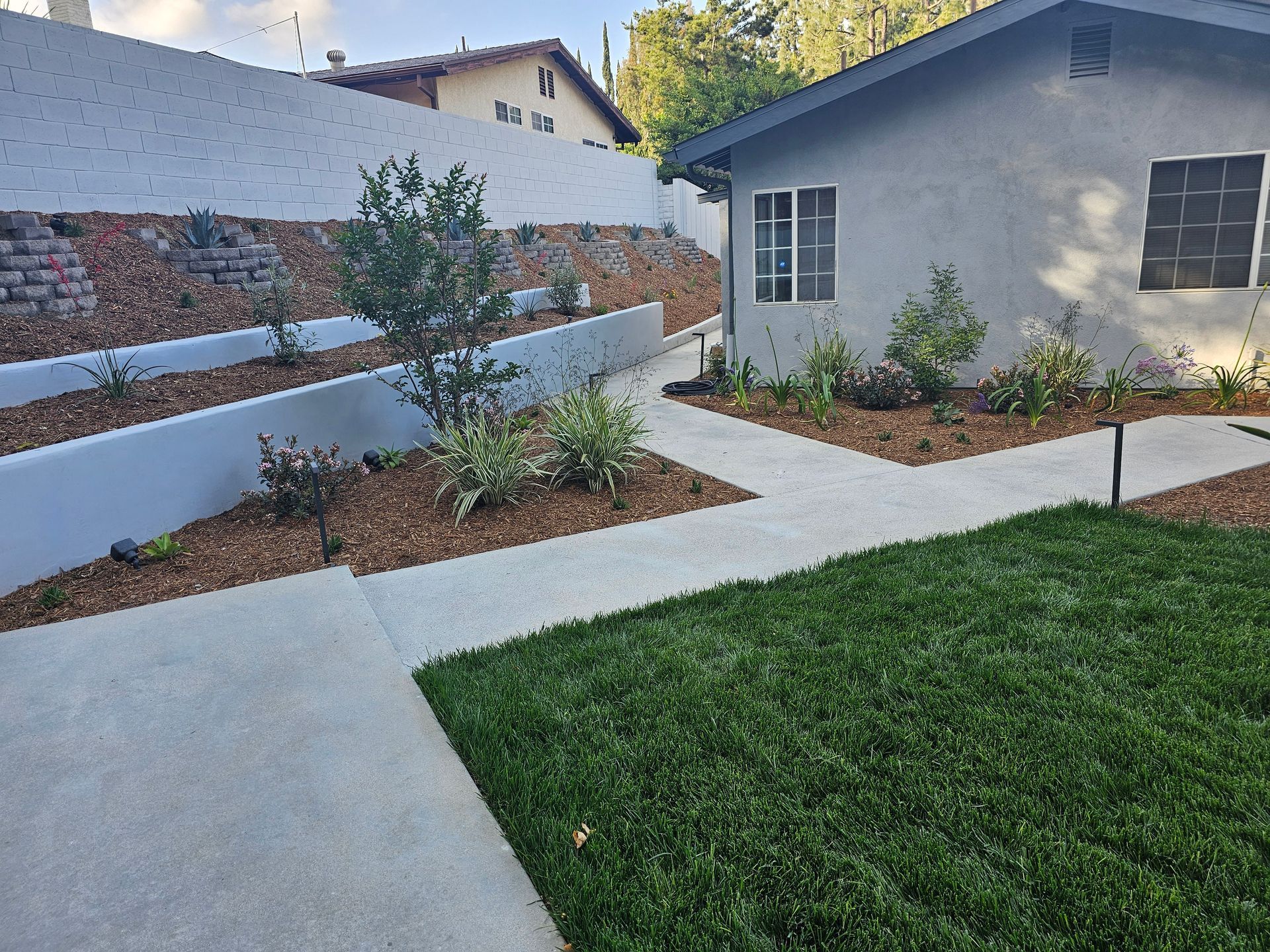 A house with a concrete walkway leading to it