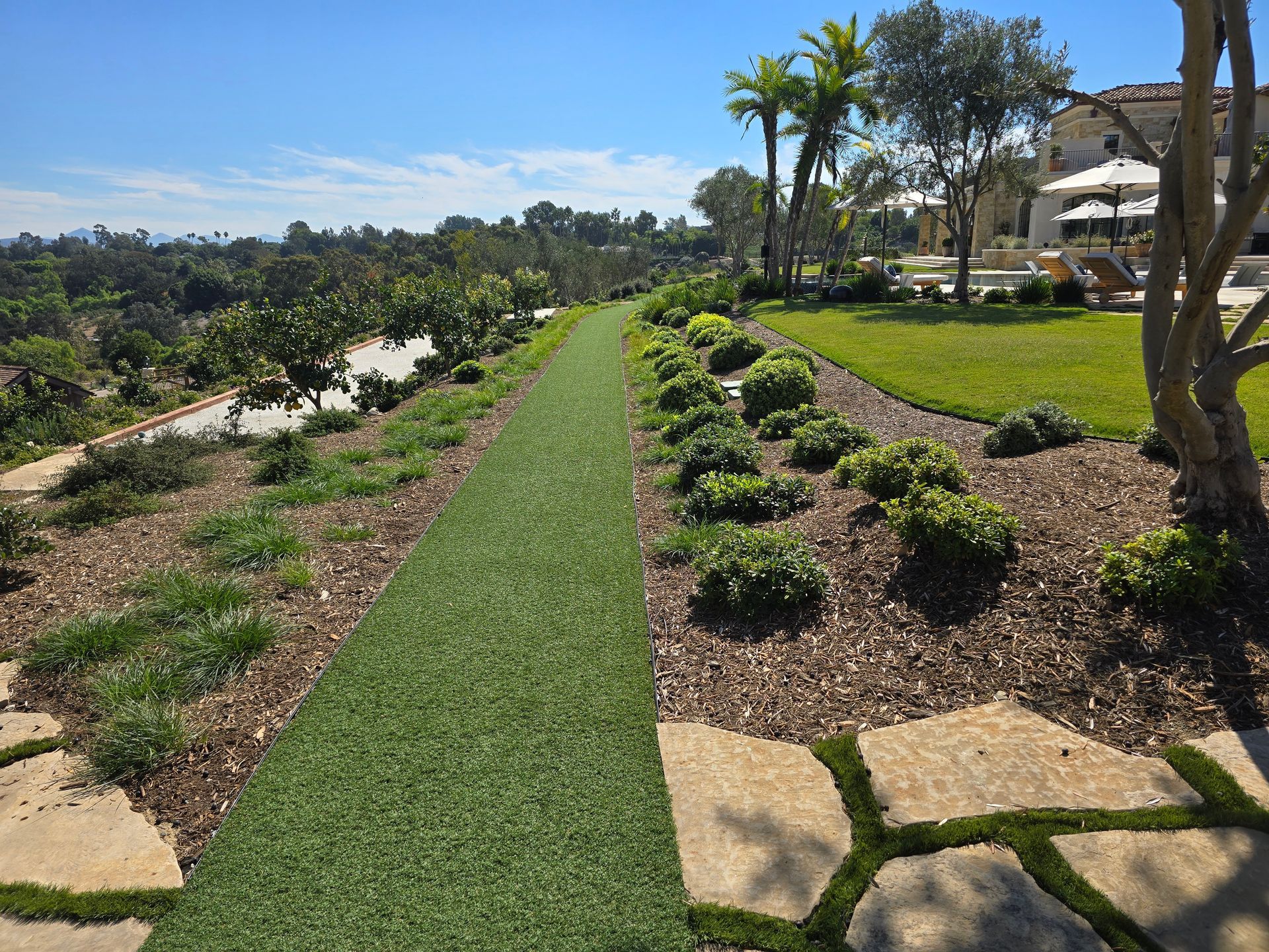 A lush green lawn with a stone walkway leading to a house.
