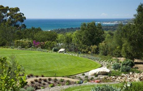 A lush green field with a view of the ocean