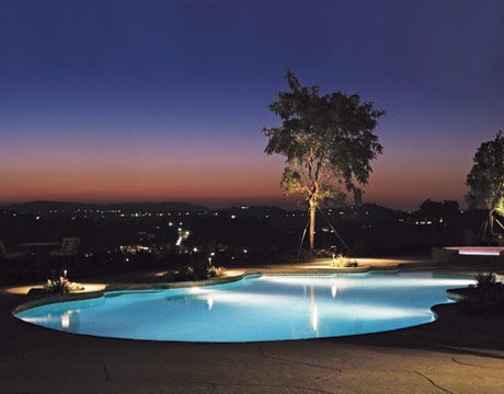A swimming pool is lit up at night with a tree in the foreground