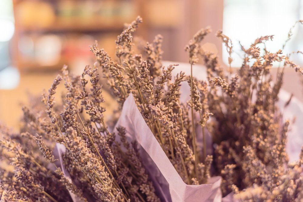 erbe-naturali-erboristeria