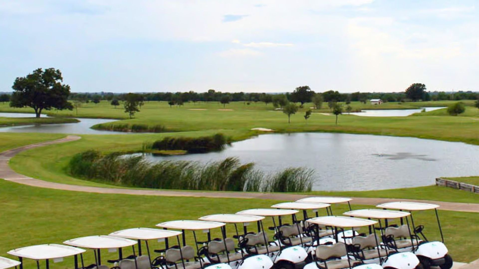 A row of parked golf carts overlooks a green golf course with ponds and scattered trees under a light blue sky.