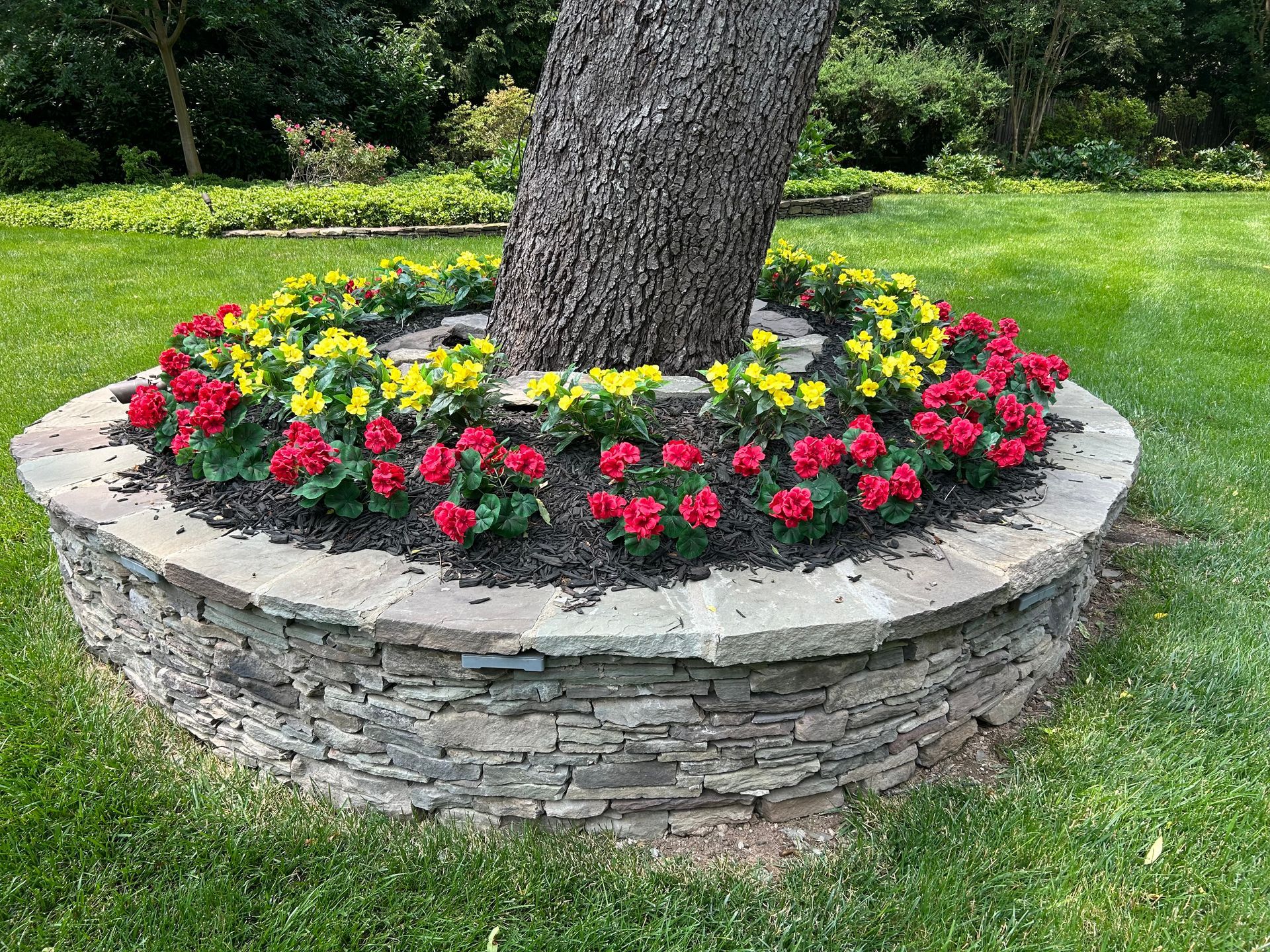 A tree surrounded by flowers in a garden.